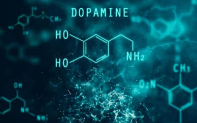 How Long Does It Take For Dopamine To Reset