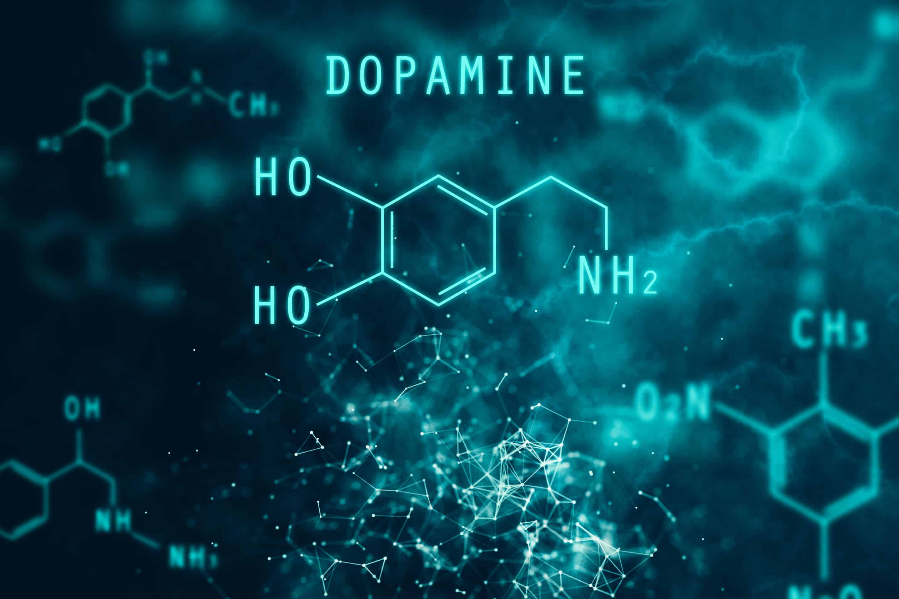 How Long Does It Take For Dopamine To Reset