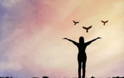 The Best Things in Life are Free