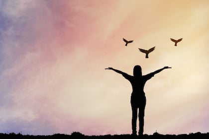 The Best Things in Life are Free
