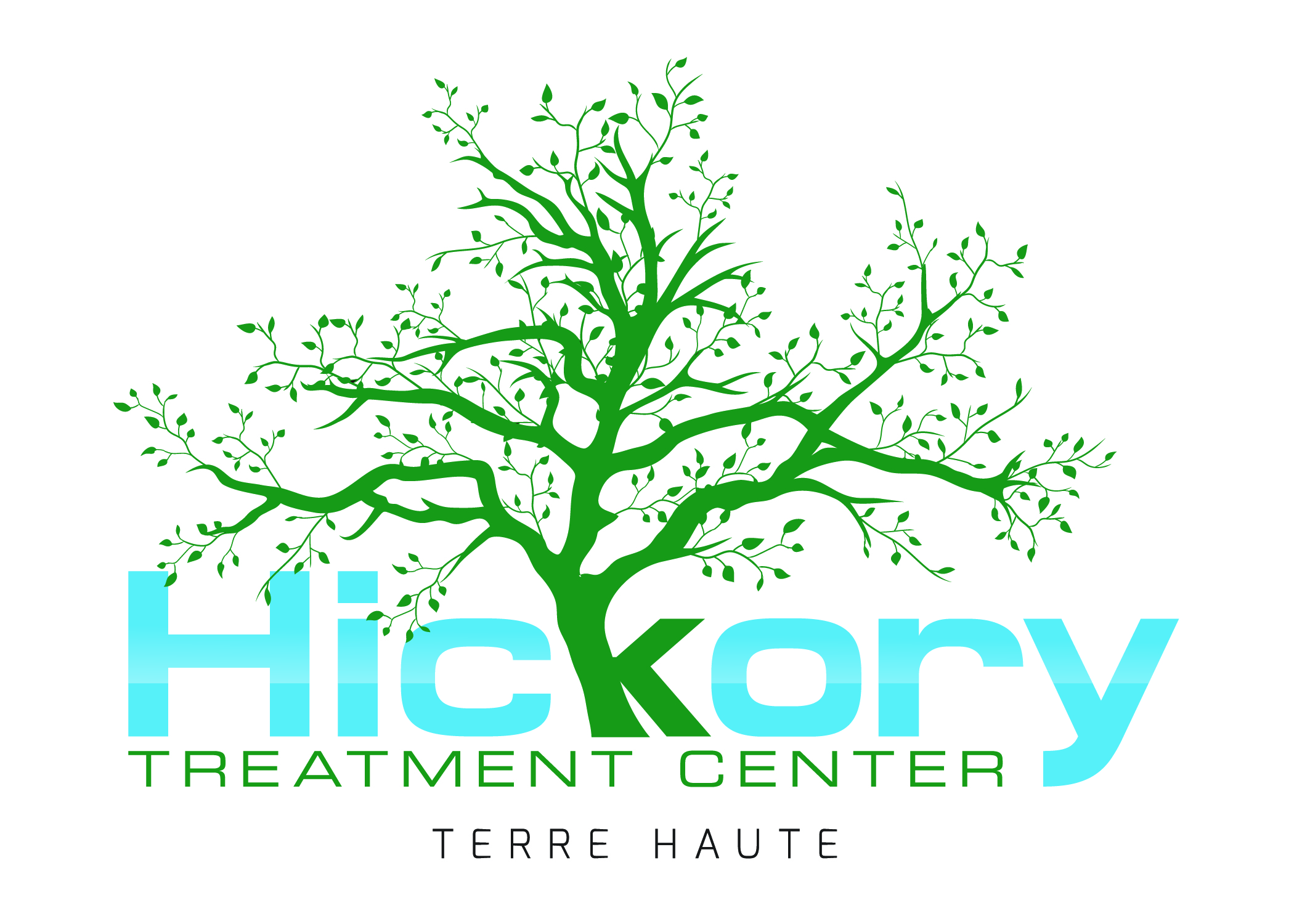 drug and alcohol rehab terre haute in