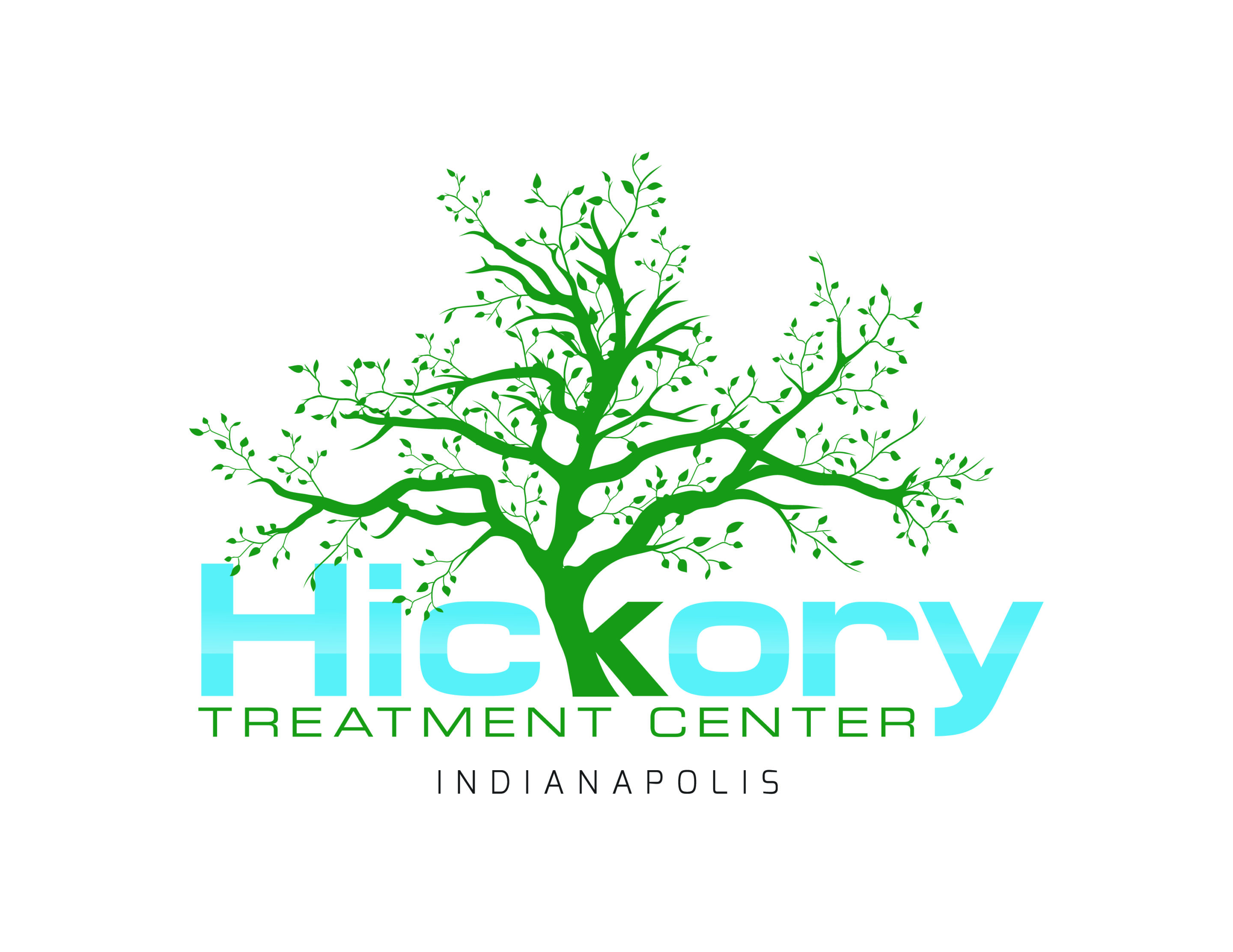 hickory treatment center at indianapolis